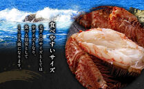 【12月25日～30日到着】北海道オホーツク産 毛ガニ 1尾（500g前後）_01191