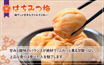 訳あり&nbsp;つぶれ&nbsp;梅干し&nbsp;500g×6パック&nbsp;合計3kg&nbsp;はちみつ&nbsp;塩分&nbsp;約5％［TR1w］