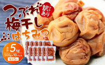 訳あり&nbsp;つぶれ&nbsp;梅干し&nbsp;500g×10パック&nbsp;合計5kg&nbsp;はちみつ&nbsp;塩分&nbsp;約5％［TR2w］
