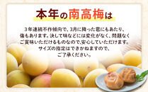 訳あり&nbsp;つぶれ&nbsp;梅干し&nbsp;500g×10パック&nbsp;合計5kg&nbsp;はちみつ&nbsp;塩分&nbsp;約5％［TR2w］