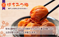 訳あり つぶれ 梅干し 500g×6パック 合計3kg はちみつ 塩分 約5％［TR1w］