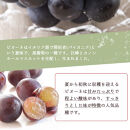 ［全3回&nbsp;定期便］&nbsp;紀州和歌山産旬のフルーツセット（桃・梨・ピオーネ）&nbsp;［UT142］