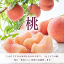 ［全3回&nbsp;定期便］&nbsp;紀州和歌山産旬のフルーツセット（桃・梨・ピオーネ）&nbsp;［UT142］