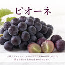 ［全3回&nbsp;定期便］&nbsp;紀州和歌山産旬のフルーツセット（桃・梨・ピオーネ）&nbsp;［UT142］