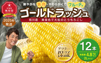 【先行予約】黄金色で大粒 ゴールドラッシュ 12本 4.8kg（2026年8月下旬より発送予定）_00408