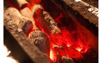 無添加　名古屋コーチン手羽先炭火焼