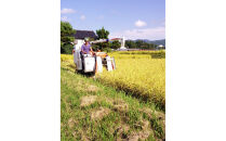 【令和7年度産】高島農場の農薬不使用ササニシキ30kg玄米