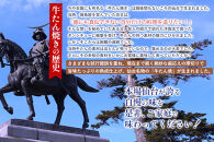 【5営業日以内発送　12/10決済分】【本場仙台専門店の味】牛タン 切り落とし 500g(250gx2袋)  | 仙台名物 牛たん 塩味 薄切り 牛肉 牛たん 熟成 牛タン 焼肉 バーベキュー BBQ 小分け お取り寄せ 冷凍 宮城 だてや ダテヤ DATEYA