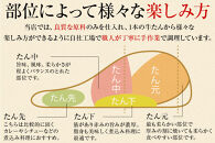 【5営業日以内発送　12/10決済分】【本場仙台専門店の味】牛タン 切り落とし 500g(250gx2袋)  | 仙台名物 牛たん 塩味 薄切り 牛肉 牛たん 熟成 牛タン 焼肉 バーベキュー BBQ 小分け お取り寄せ 冷凍 宮城 だてや ダテヤ DATEYA