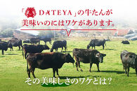 【5営業日以内発送　12/10決済分】【本場仙台専門店の味】牛タン 切り落とし 750g(250gx3袋)  | 仙台名物 牛たん 塩味 薄切り 牛肉 牛たん 熟成 牛タン 焼肉 バーベキュー BBQ 小分け お取り寄せ 冷凍 宮城 だてや ダテヤ DATEYA