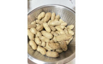 愛知県豊田市産 【生落花生】 1.5kg