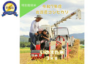 令和7年産コシヒカリ　精米（無洗米）3kg　農家直送　佐渡市いのまた米