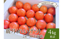 デリシャスファームのトマト(麗月)4キロ箱