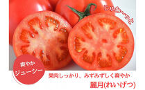 デリシャスファームのトマト(麗月)2キロ箱