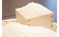 令和7年塙町産米コシヒカリ　5kg【令和3年度新嘗祭献穀者生産】