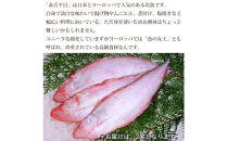 【お歳暮】【鱗、内臓処理】赤舌平目&nbsp;2尾（1尾、約250g～300g）れんちょうがれい&nbsp;レンチョウ