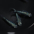 ゴジラ（メダカ）1ペア&nbsp;メダカ屋えん&nbsp;横浜市