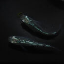 ゴジラ（メダカ）1ペア&nbsp;メダカ屋えん&nbsp;横浜市