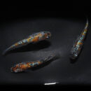 赤炎（メダカ）1ペア&nbsp;メダカ屋えん&nbsp;横浜市