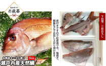 【お歳暮】【三枚おろし皮付き】活き締め真鯛1尾（約1kg）タイ&nbsp;たい&nbsp;刺身&nbsp;鍋
