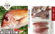 【お歳暮】【三枚おろし全て皮引きサク】活き締め真鯛1尾（約1kg）タイ&nbsp;たい&nbsp;刺身&nbsp;鍋