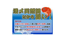 【お歳暮】【三枚おろし全て皮引きサク】活き締め真鯛1尾（約1kg）タイ&nbsp;たい&nbsp;刺身&nbsp;鍋