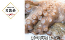 【お歳暮】活き締め真たこ1ぱい約1kg　レシピ付き&nbsp;蛸&nbsp;生&nbsp;刺身