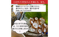 【お歳暮】活き締め真たこ1ぱい約1kg　レシピ付き&nbsp;蛸&nbsp;生&nbsp;刺身