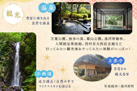 【2026年2月26日以降発送】飯田商店の鶏出汁醤油らぁ麺3食セット(具材付き)&nbsp;|&nbsp;湯河原町&nbsp;名店&nbsp;人気店&nbsp;鶏出汁&nbsp;ラーメン&nbsp;自宅で楽しむ