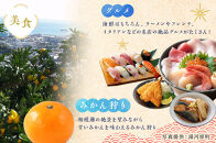 【2026年4月2日以降発送】飯田商店の鶏出汁醤油らぁ麺3食セット(具材付き)&nbsp;|&nbsp;&nbsp;湯河原町&nbsp;名店&nbsp;人気店&nbsp;鶏出汁&nbsp;ラーメン&nbsp;自宅で楽しむ