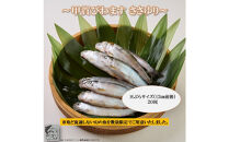 甲賀びわます “ささゆり”　 天ぷらサイズ 5尾入り×4パック