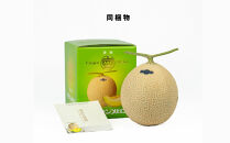 『&nbsp;組合直送&nbsp;』クラウンメロン&nbsp;白級&nbsp;大玉&nbsp;1.5kg&nbsp;1玉（&nbsp;9月～2月&nbsp;）｜高級&nbsp;名産&nbsp;果物&nbsp;フルーツ&nbsp;ギフト&nbsp;メロン&nbsp;静岡県&nbsp;ふるさと納税