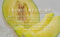 『&nbsp;組合直送&nbsp;』クラウンメロン&nbsp;白級&nbsp;大玉&nbsp;1.5kg&nbsp;1玉（&nbsp;9月～2月&nbsp;）｜高級&nbsp;名産&nbsp;果物&nbsp;フルーツ&nbsp;ギフト&nbsp;メロン&nbsp;静岡県&nbsp;ふるさと納税