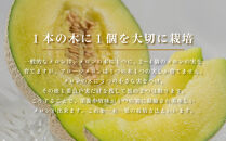 『組合直送』アローマメロン 1.3kg 1玉｜高級 名産 果物 フルーツ ギフト メロン 静岡県 ふるさと納税