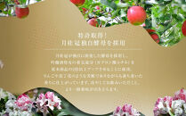 【月桂冠】日本酒&nbsp;大吟醸生詰&nbsp;300ｍL×5本｜京都&nbsp;日本酒&nbsp;人気セット&nbsp;おすすめ&nbsp;[&nbsp;自社酵母使用&nbsp;フルーティ&nbsp;りんごのような吟醸香&nbsp;人気&nbsp;おすすめ&nbsp;お酒&nbsp;晩酌&nbsp;日常使い&nbsp;ご自宅用&nbsp;ギフト&nbsp;プレゼント&nbsp;お取り寄せ&nbsp;通販&nbsp;送料無料&nbsp;ふるさと納税］