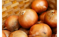 焼き師ママが焼いた九州ハンバーグ ・ジャポネソース付き (4個入り)