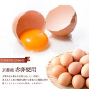 【ソラアオ】アイスチーズケーキサンド 2箱セット 12個入り | 京都 チーズケーキ専門店 アイス  人気セット［ 京都  チーズケーキ専門店 スイーツ アイス アイスサンド 人気 おすすめ 洋菓子 お取り寄せ 通販 送料無料 ふるさと納税 ］