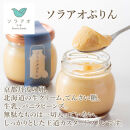 【ソラアオ】ぷりん詰め合わせセット（8個入り）|&nbsp;京都&nbsp;チーズケーキ専門店&nbsp;人気セット［&nbsp;京都&nbsp;&nbsp;とろ生プリン&nbsp;カスタードプリン&nbsp;スイーツ&nbsp;プリン&nbsp;人気&nbsp;おすすめ&nbsp;洋菓子&nbsp;お取り寄せ&nbsp;通販&nbsp;送料無料&nbsp;ふるさと納税&nbsp;］