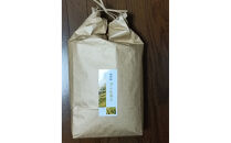 神戸市産　生産農家の「コシヒカリ」（精米9キロ）【2025年産】