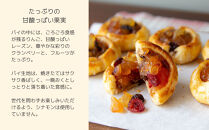 【伊藤軒】本店で大人気！ごろごろりんごパイ&nbsp;20個入り｜京都&nbsp;看板スイーツ&nbsp;アップルパイ&nbsp;[&nbsp;3種のフルーツ入り&nbsp;個包装&nbsp;人気&nbsp;手土産にもおすすめ&nbsp;お菓子&nbsp;スイーツ&nbsp;洋菓子&nbsp;りんご&nbsp;レーズン&nbsp;クランベリー&nbsp;ギフト&nbsp;プレゼント&nbsp;贈答&nbsp;お取り寄せ&nbsp;通販&nbsp;送料無料&nbsp;ふるさと納税&nbsp;]