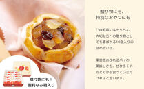 【伊藤軒】本店で大人気！ごろごろりんごパイ&nbsp;20個入り｜京都&nbsp;看板スイーツ&nbsp;アップルパイ&nbsp;[&nbsp;3種のフルーツ入り&nbsp;個包装&nbsp;人気&nbsp;手土産にもおすすめ&nbsp;お菓子&nbsp;スイーツ&nbsp;洋菓子&nbsp;りんご&nbsp;レーズン&nbsp;クランベリー&nbsp;ギフト&nbsp;プレゼント&nbsp;贈答&nbsp;お取り寄せ&nbsp;通販&nbsp;送料無料&nbsp;ふるさと納税&nbsp;]