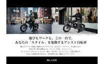 BLAZE&nbsp;スタイル&nbsp;e-バイク&nbsp;/&nbsp;電動アシスト自転車