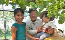 ぶどう 2026年  シャインマスカット 6～7房（約4.5kg） ブドウ 葡萄 岡山市産 国産 フルーツ 果物 ギフト タンポポ農園　 | フルーツ 果物 くだもの ぶどう ブドウ シャインマスカット 国産 岡山県産 食品 人気 おすすめ  送料無料 ギフト 贈り物 贈答品