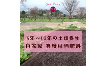 美人しそ茶と美人さくら有機煎茶(各10パック)