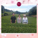 美人しそ茶と美人さくら有機煎茶(各20パック)