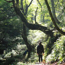 小富士の露・原始林クロモジの精2本＆美人しそ茶1p5