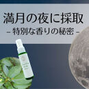 小富士の露・原始林クロモジの精2本＆美人しそ茶1p5