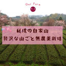 小富士の露・原始林クロモジの精2本＆美人しそ茶1p5