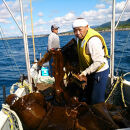 こんぶ美人・養命酢1本＆美人しそ茶1p2