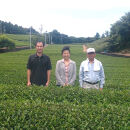 養生な抹茶　3種